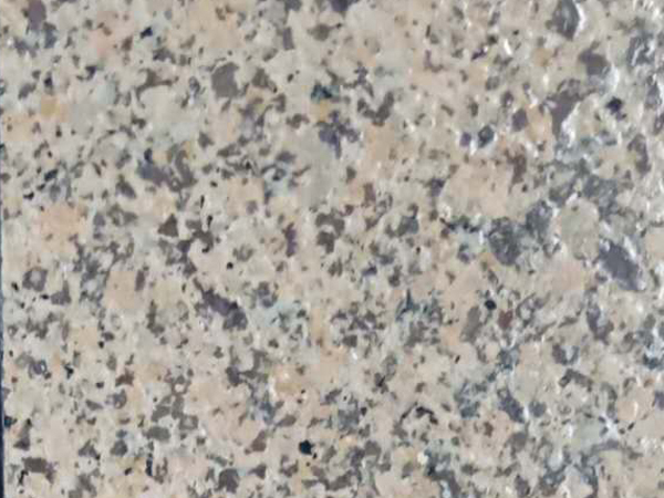 點(diǎn)擊看詳細(xì)資料